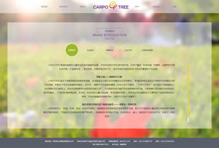 卡波树童装 品质与创新并举，助力外贸销售新高度