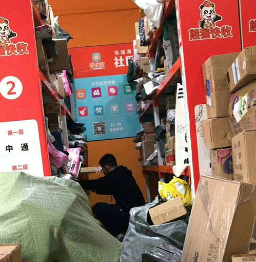 熊猫快收项目介绍 连锁加盟与票务代理服务详解